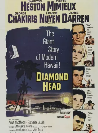 Алмазная коронка бура / Diamond Head