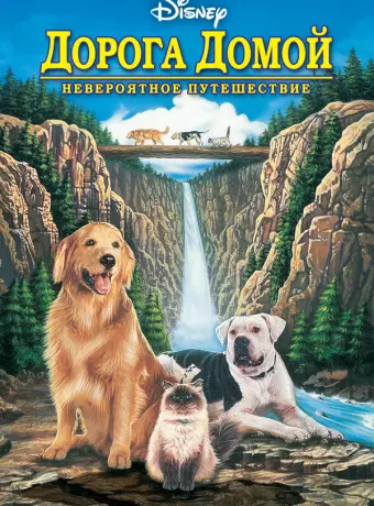 Дорога домой: Невероятное путешествие / Homeward Bound: The Incredible Journey