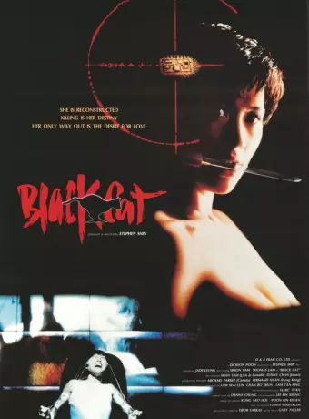 Черная кошка / Black Cat
