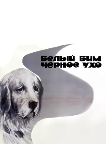 Белый Бим Черное ухо