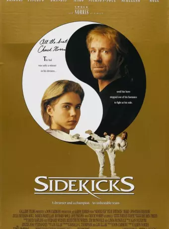 Парный удар / Sidekicks