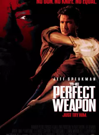 Совершенное оружие / The Perfect Weapon