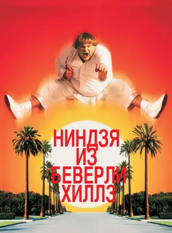 Ниндзя из Беверли Хиллз / Beverly Hills Ninja