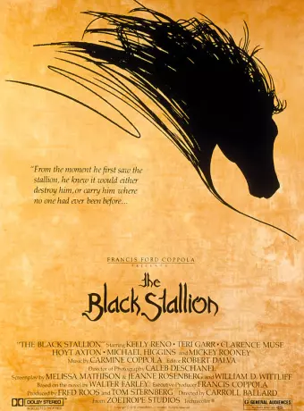 Черный скакун / The Black Stallion