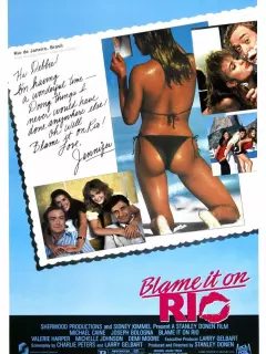 Во всем виноват Рио / Blame It on Rio